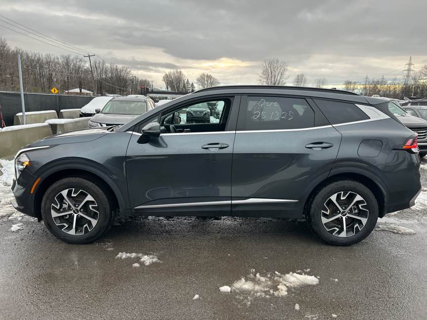 2025 kia sportage