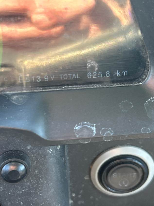 AUTRE FUGLEMAN (UT10) 2024 - 8