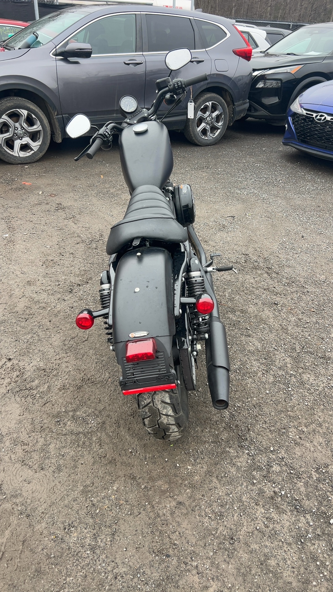 2022 HARLEY-DAVIDSON XL883