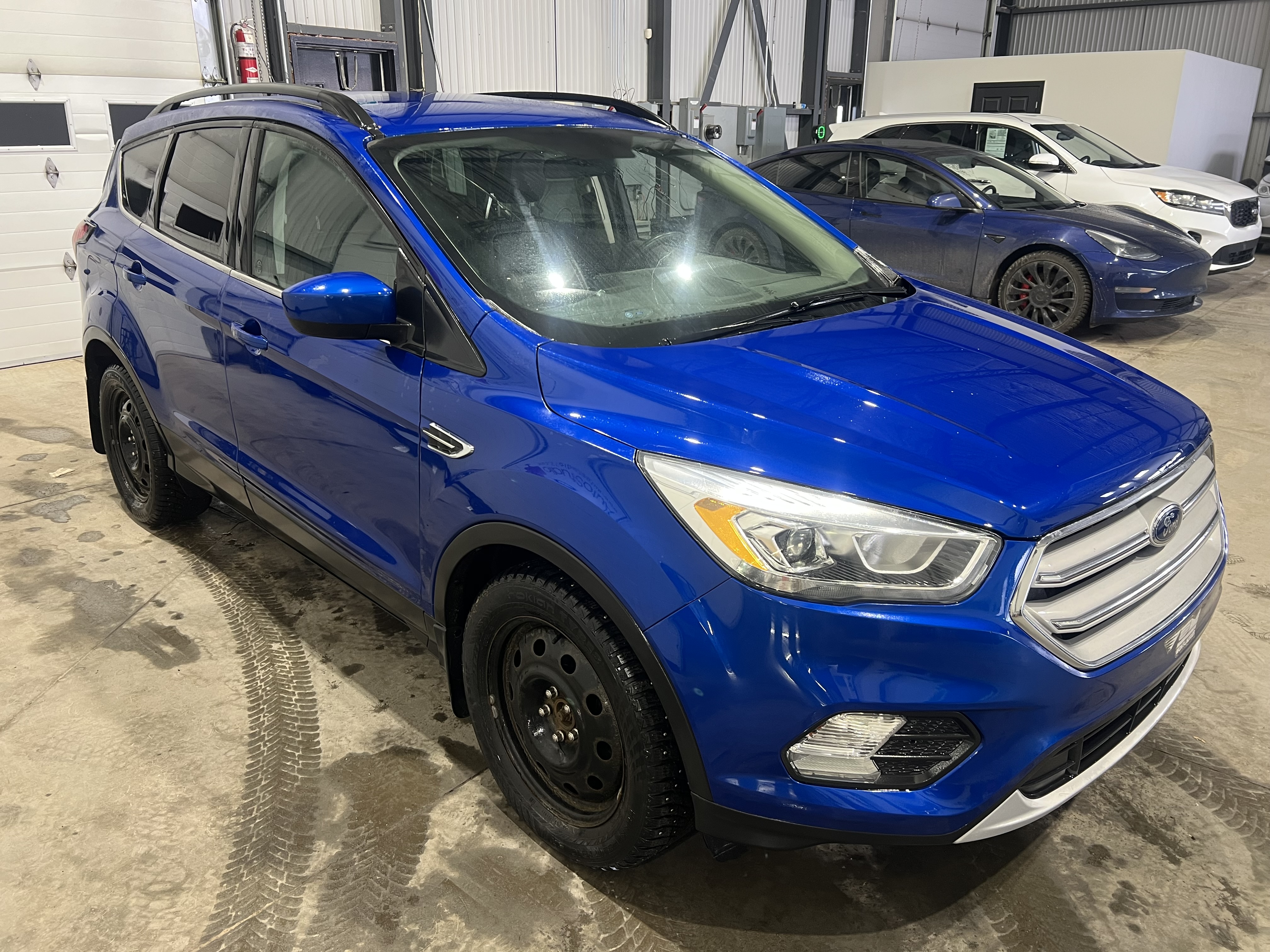 2019 Ford Escape Sel
