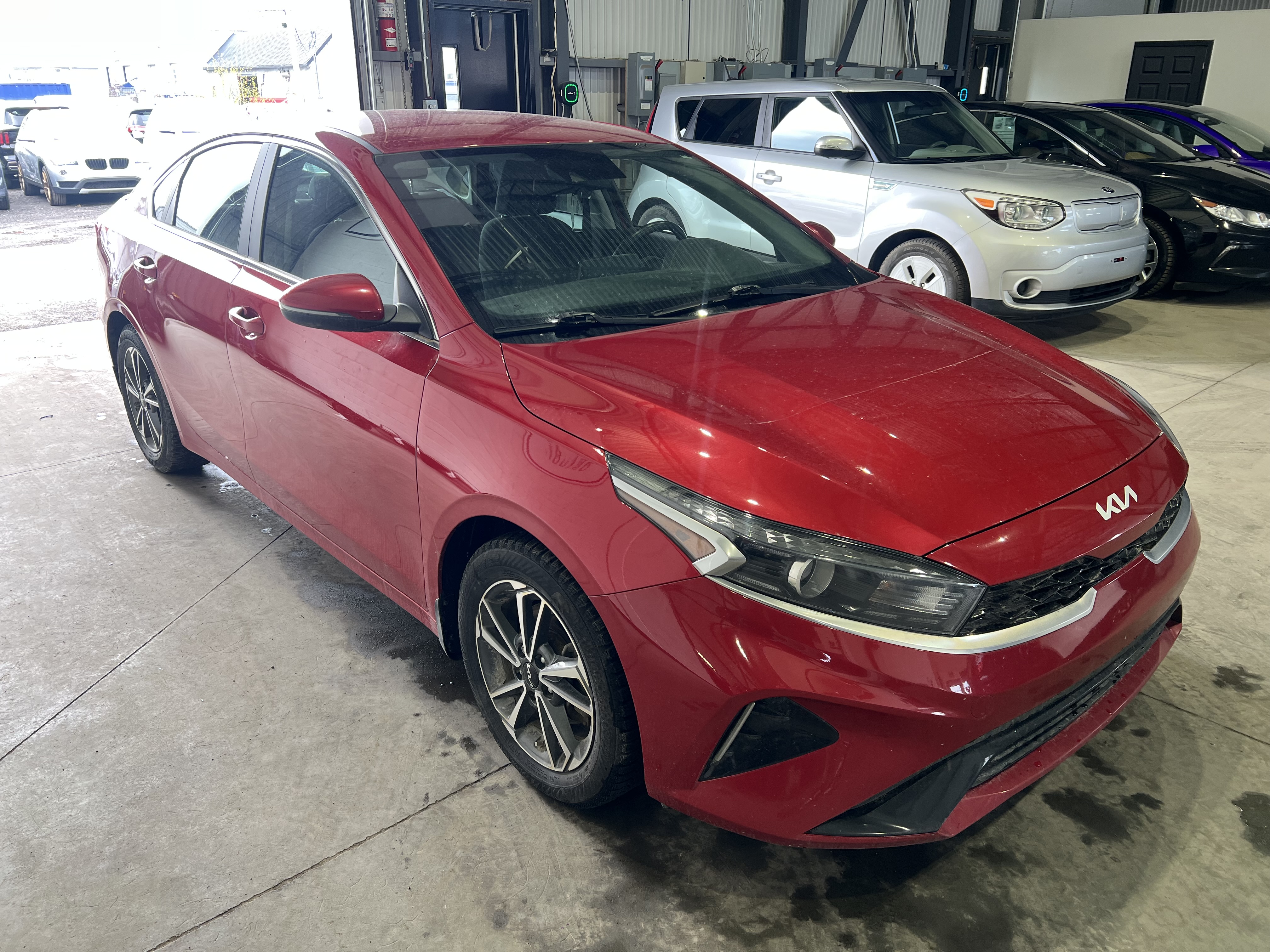 2023 Kia Forte Ex/ex+/ex Premium/gt-line
