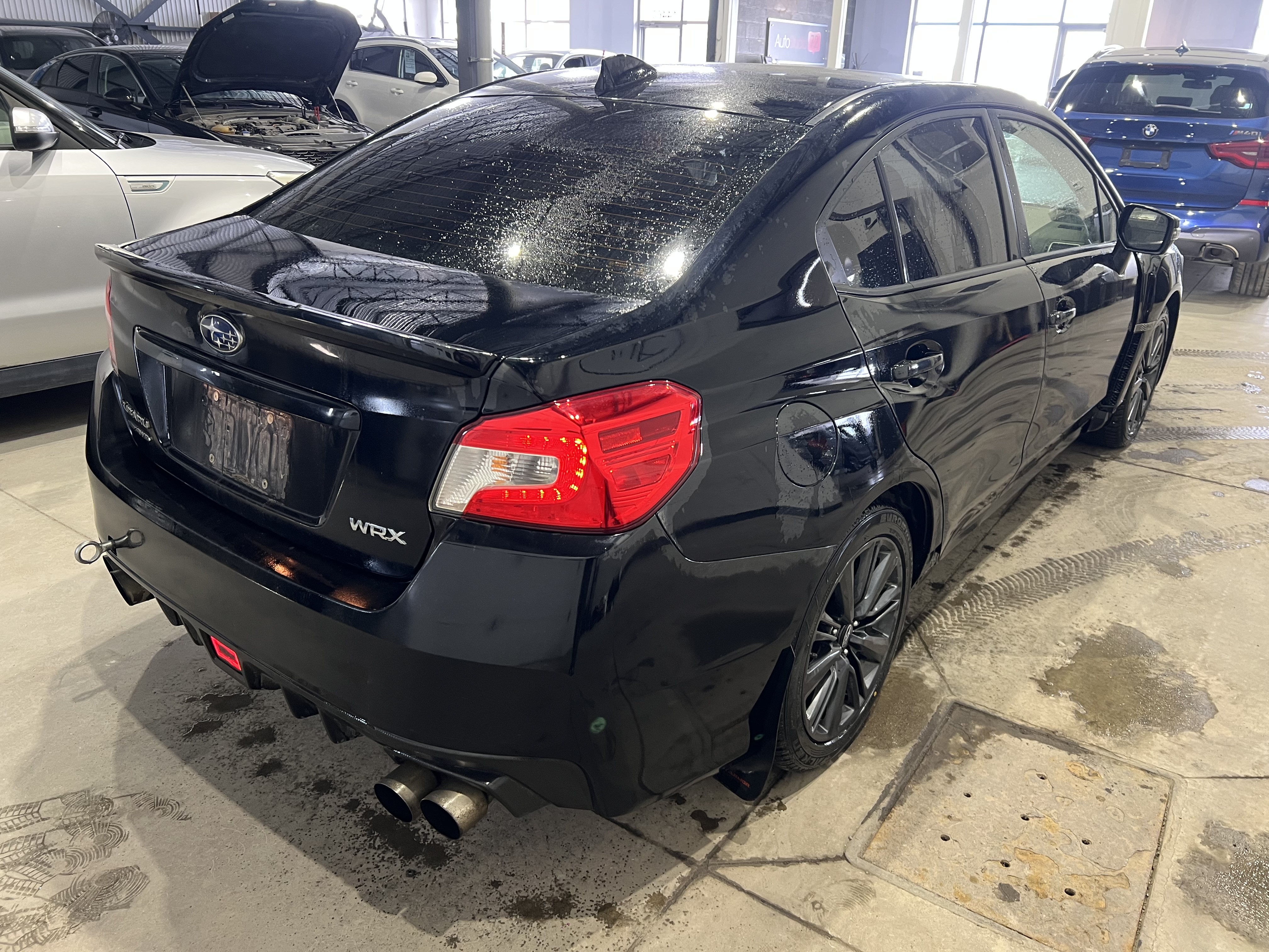 2019 Subaru WRX Sport