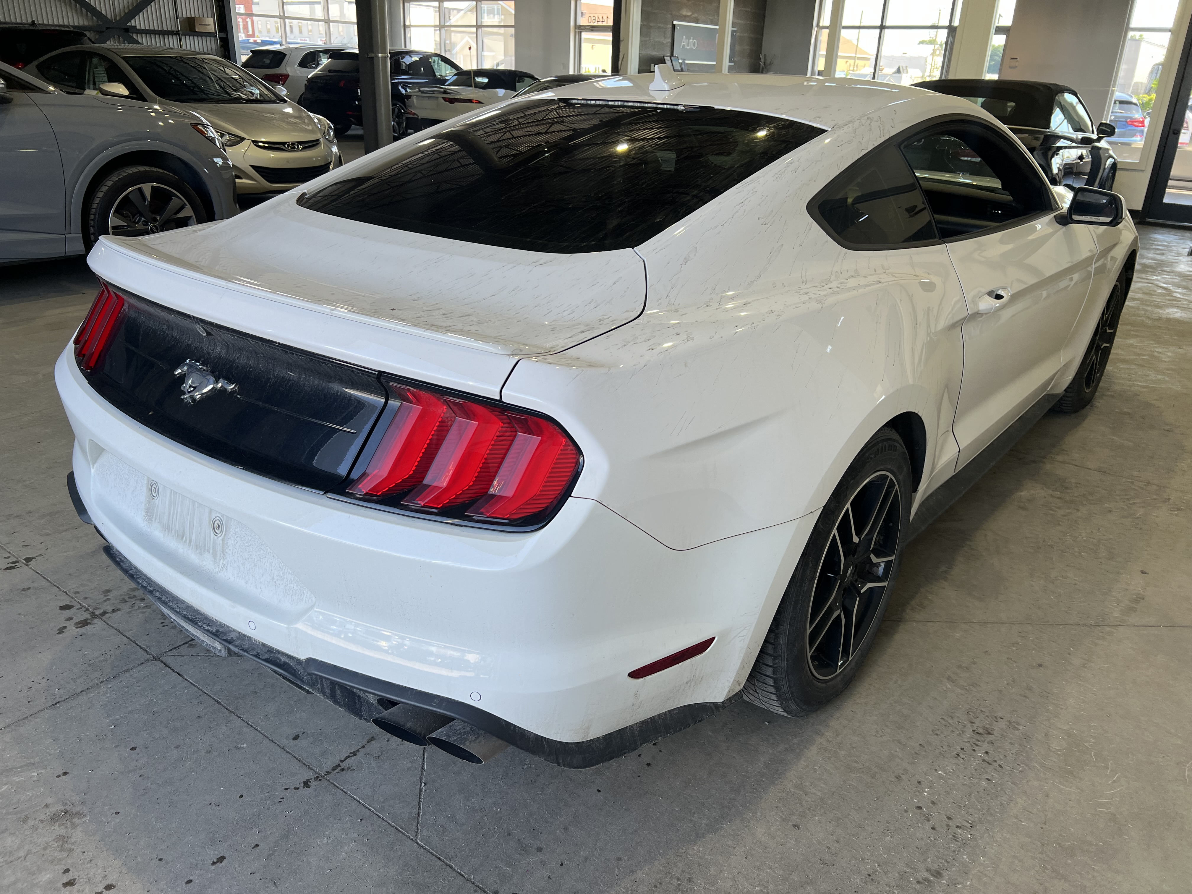 FORD MUSTANG 2021 - 2