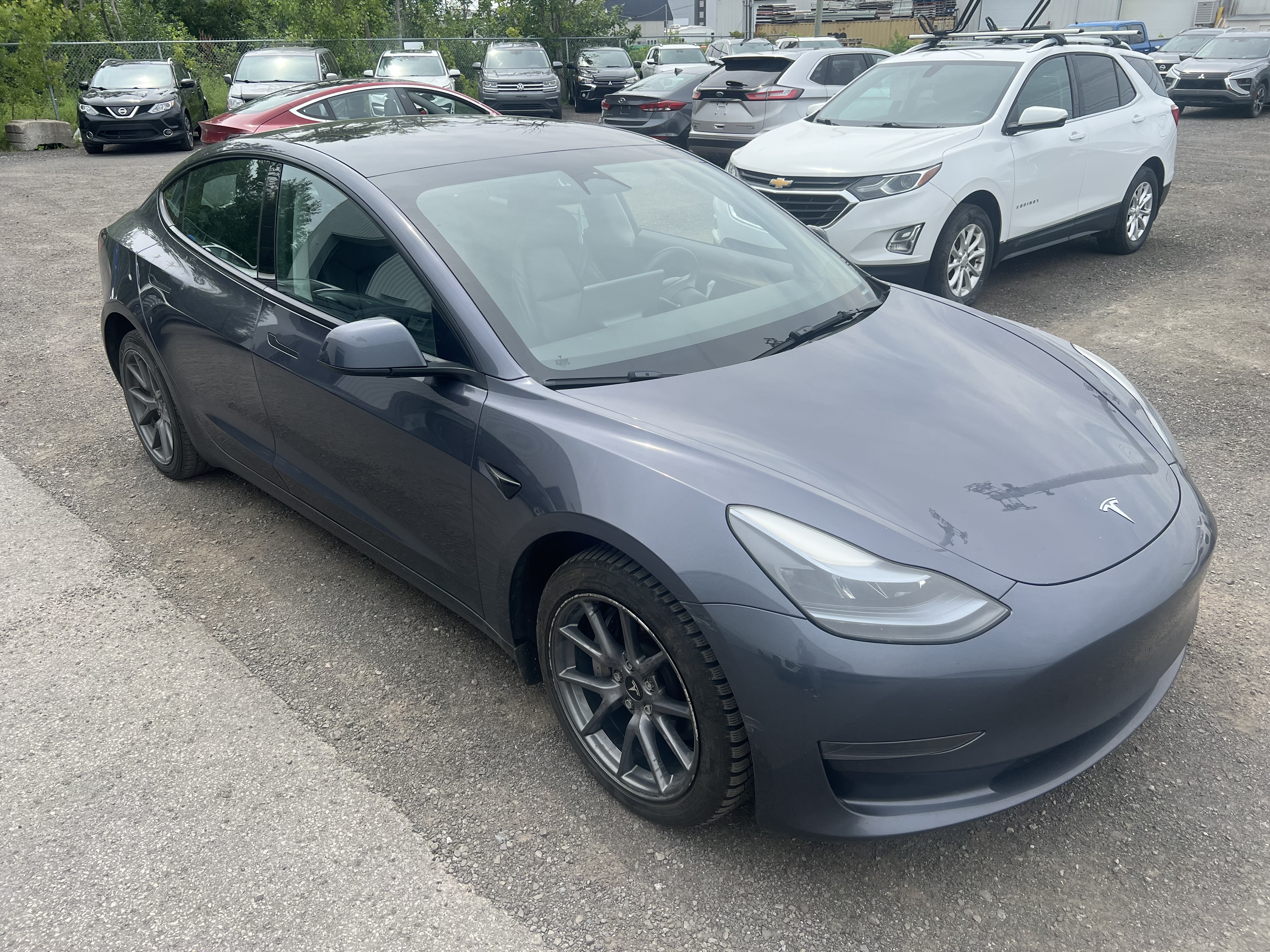 2023 Tesla Model 3 RWD