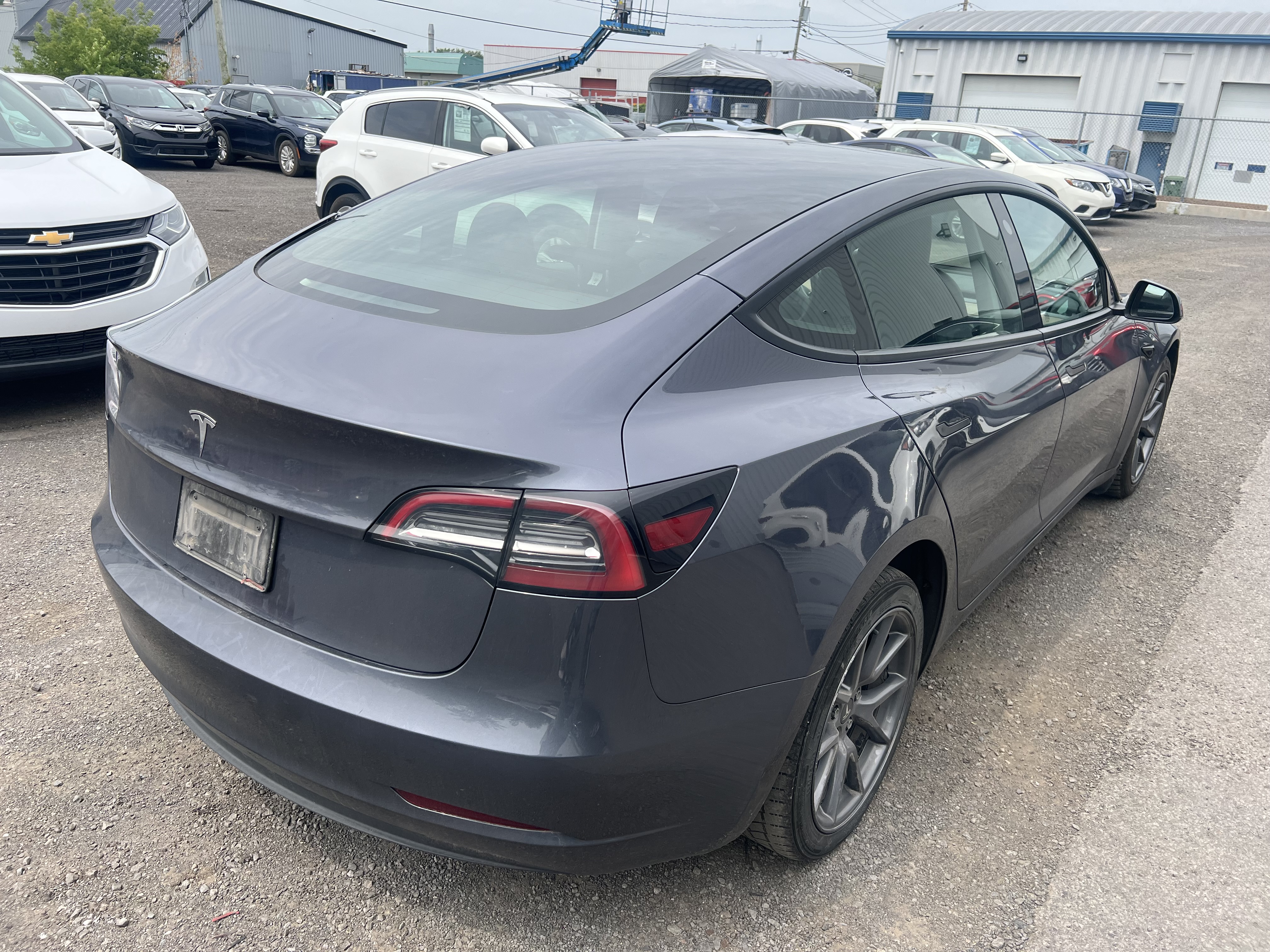 2023 Tesla Model 3 RWD