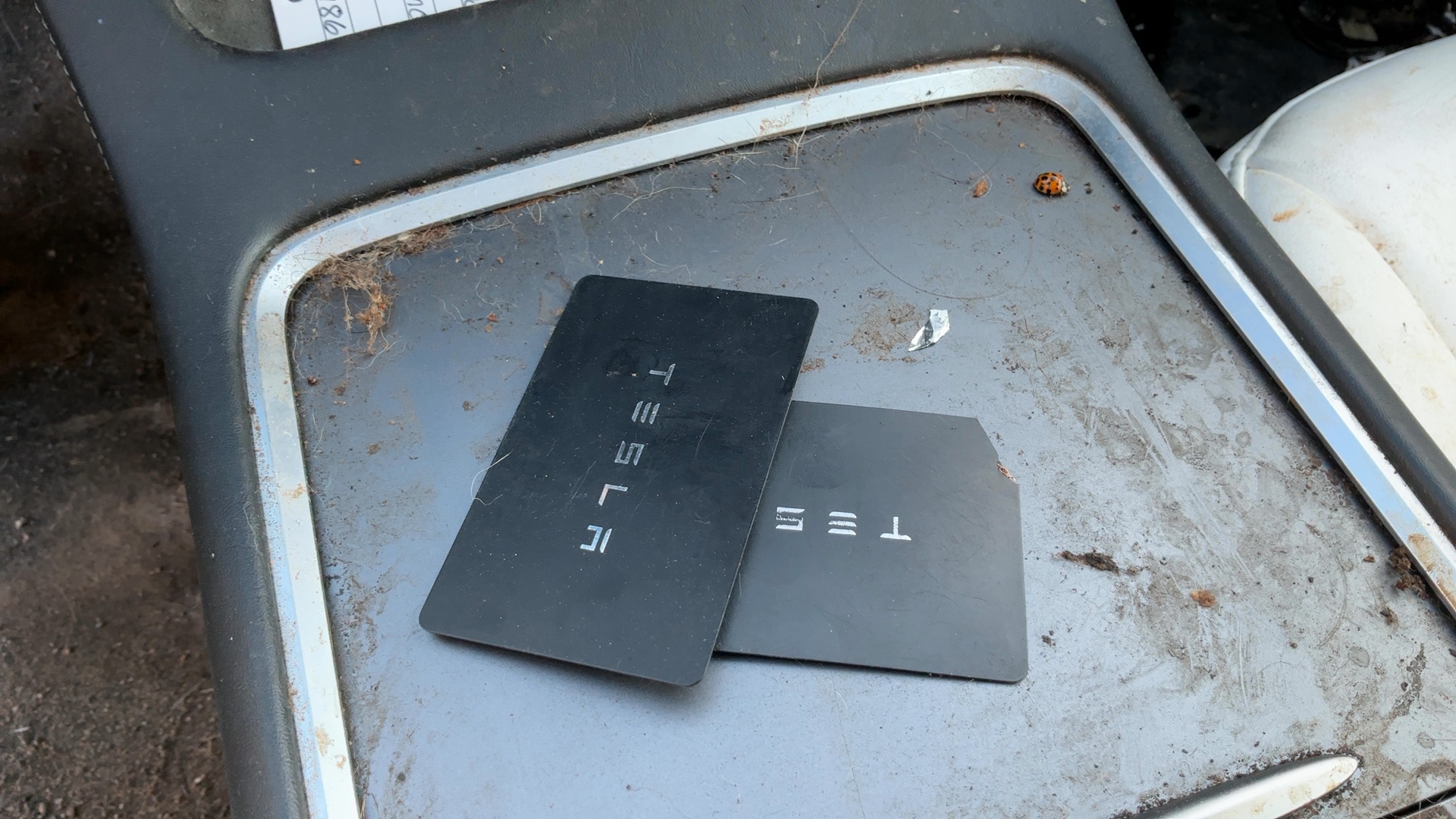 TESLA MODEL 3 2021 - 11